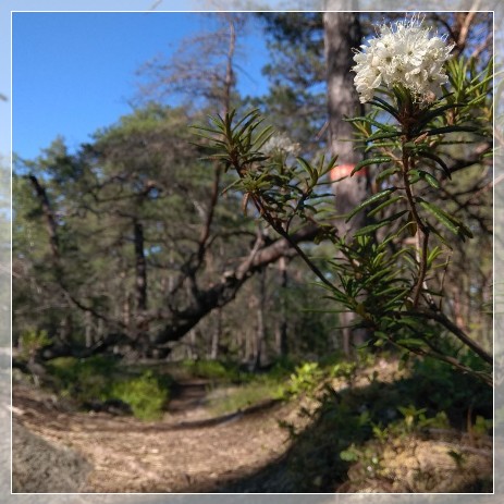 Nynäs Naturreservat Sörmlandsleden