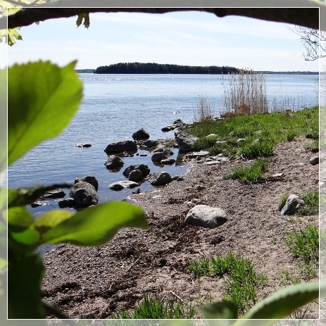 Nävekvarns Klint Naturreservat