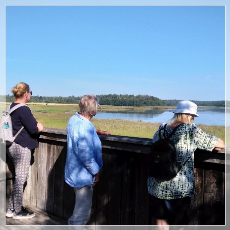 Labro Ängar Naturreservat
