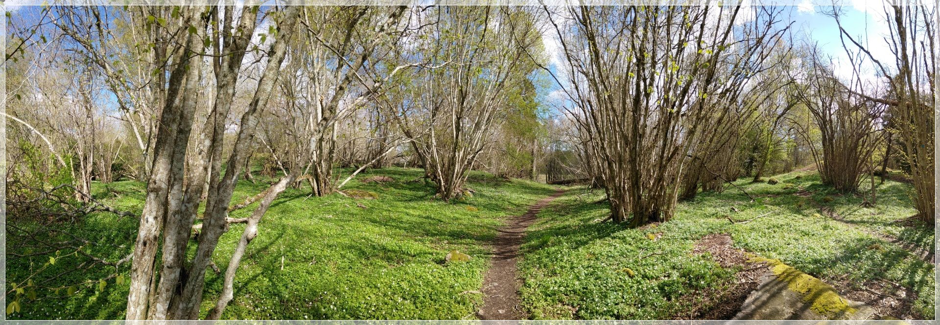 Labro Ängar Naturreservat