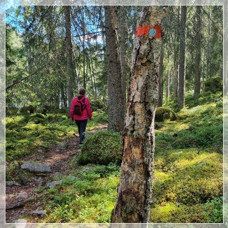 Marvikarnas Naturreservat