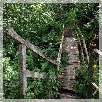 Marvikarnas Naturreservat