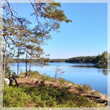 Nynäs Naturreservat, lake Björken