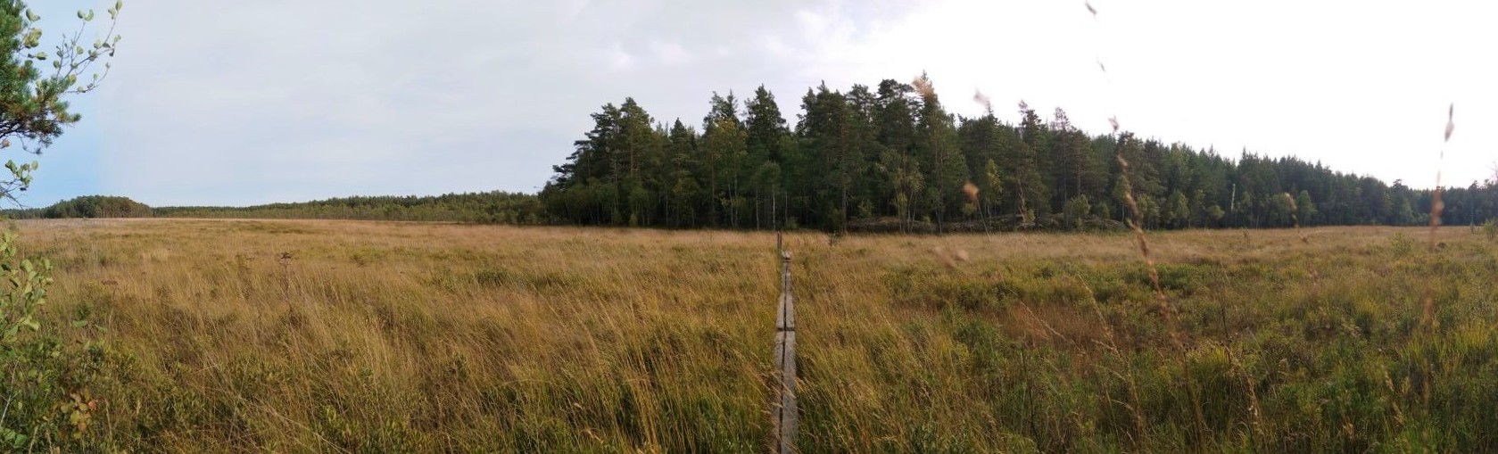 Pilhyttedammen Naturreservat