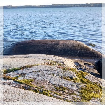 Rundhöcker, Mörkö