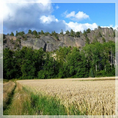 Simonberget Naturreservat