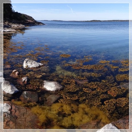 Stendörren Baltic Sea archipelago
