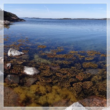 Baltic Sea in Stendörren