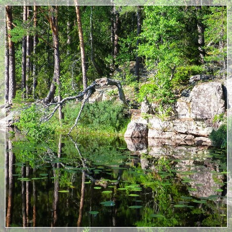 Nävsjön, Nävsjömossen Naturreservat