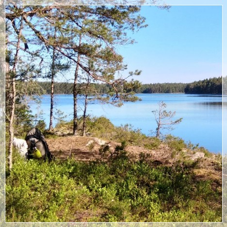 Nynäs Naturreservat, lake Björken