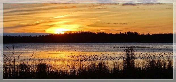 Sonnenuntergang, sunset Nynäs